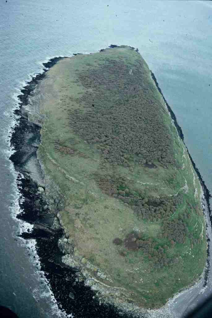 Puffin Island / Ynys Seriol.