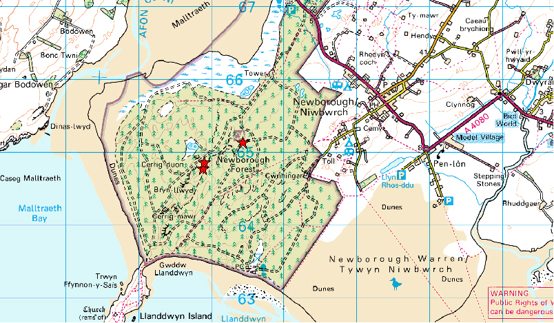 Rumex rupstris location